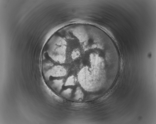 X0000115391247200912011221