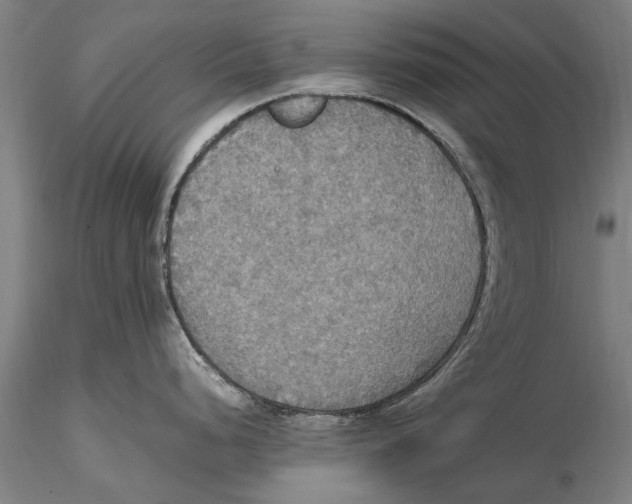 X0000115391248200912011221