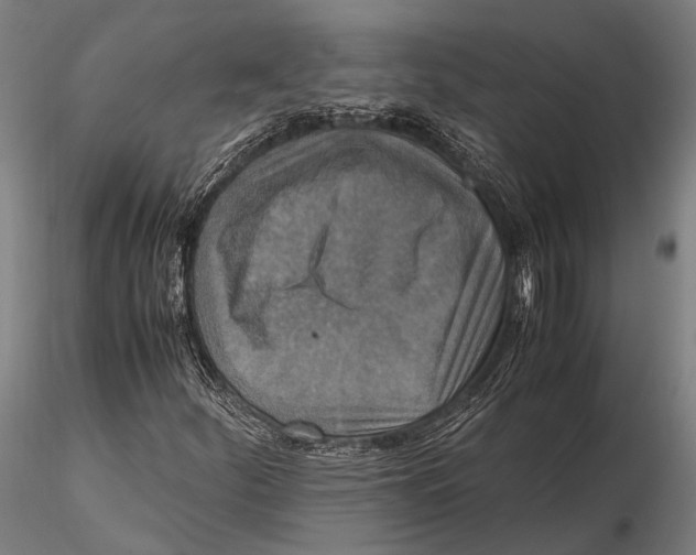 X0000115391252200912011220