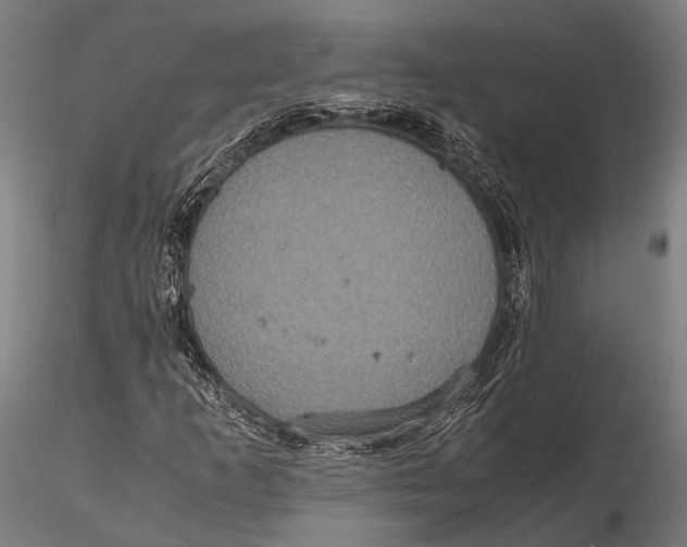 X0000115391253200912011220