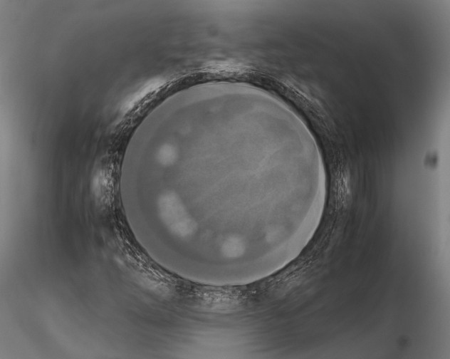 X0000115391254200912011220