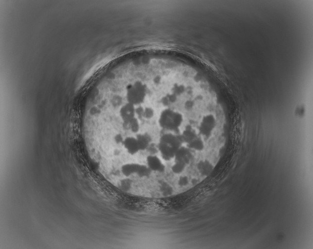 X0000115391255200912011220