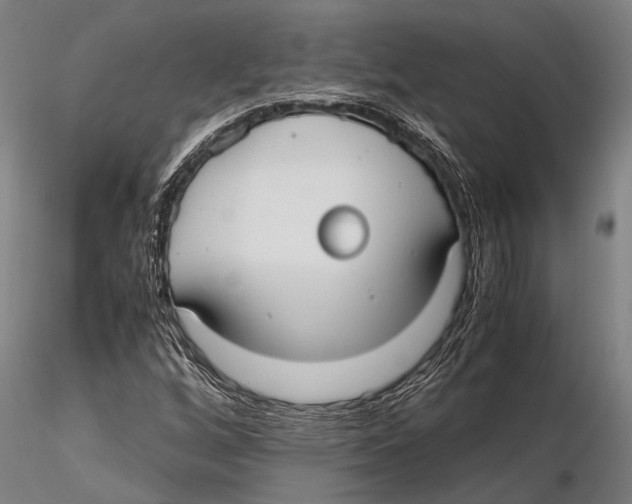 X0000115391256200912011220