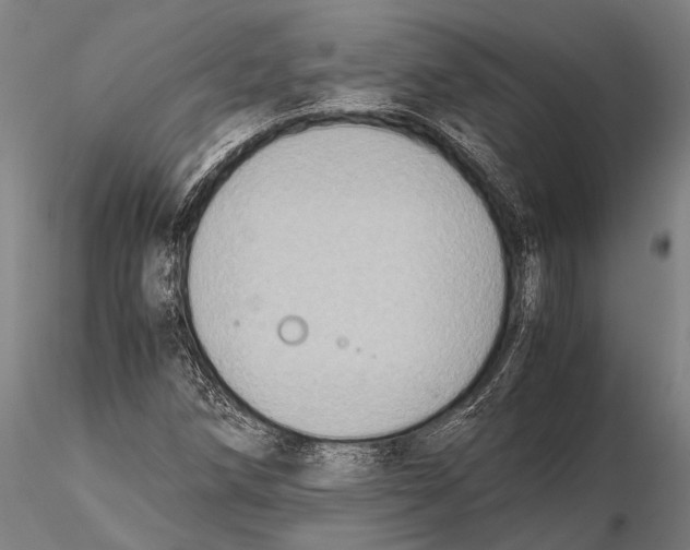 X0000115391258200912011220