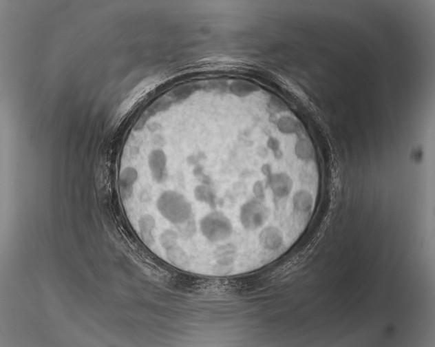 X0000115391259200912011220