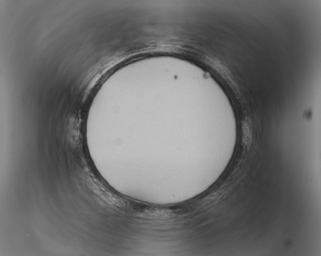 X0000115391260200912011220