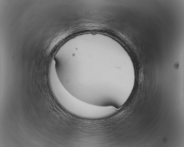 X0000115391261200912011220