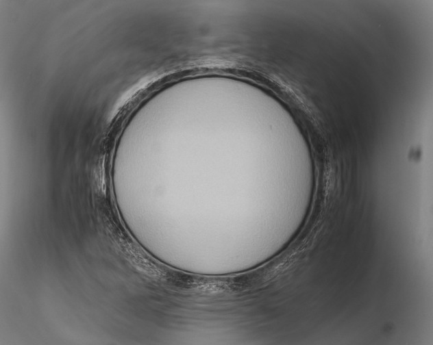 X0000115391262200912011220