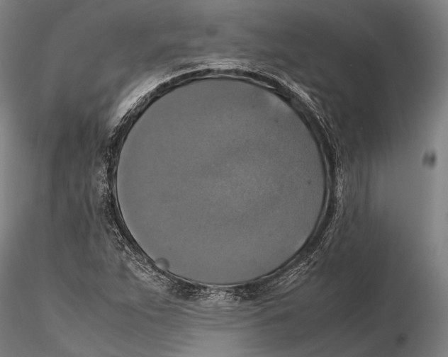 X0000115391263200912011220