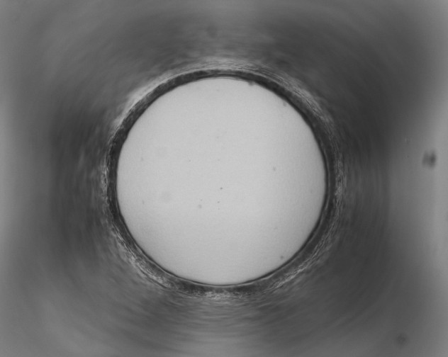 X0000115391264200912011220