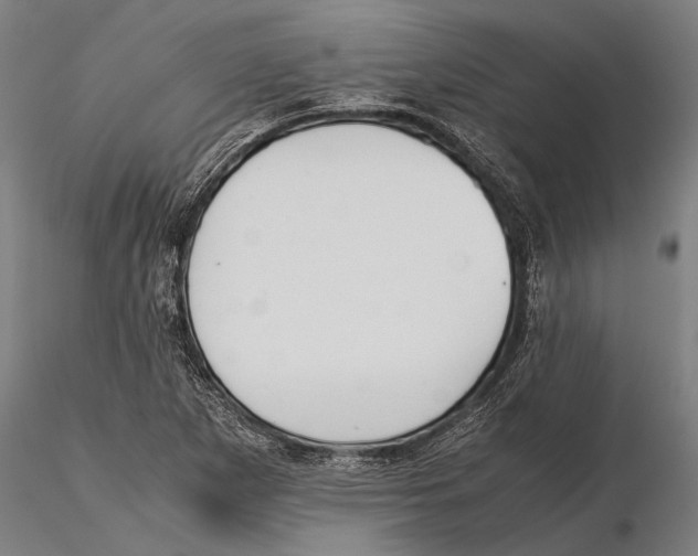 X0000115391265200912011220