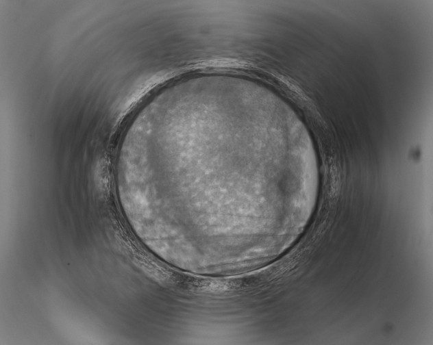 X0000115391266200912011220