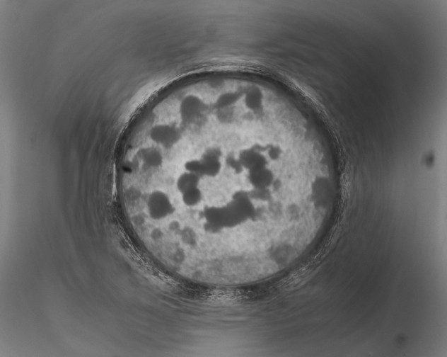 X0000115391267200912011220