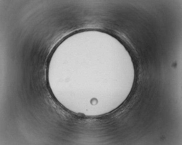 X0000115391268200912011220