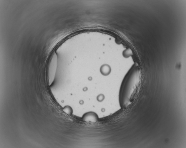 X0000115391269200912011220