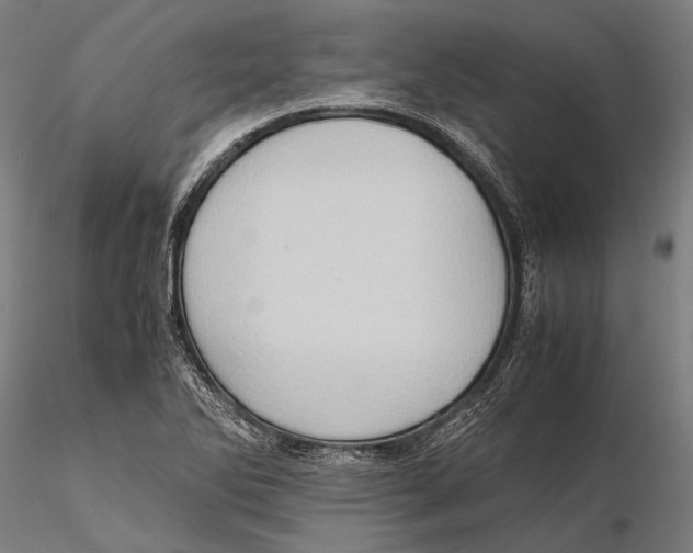 X0000115391270200912011220