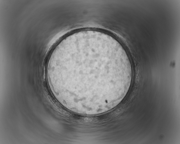 X0000115391271200912011220