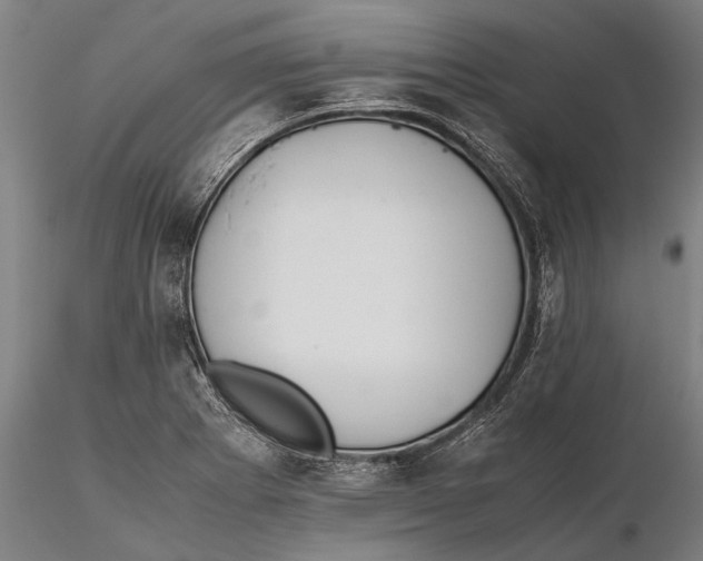 X0000115391273200912011220