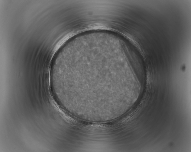 X0000115391274200912011220