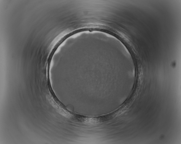 X0000115391275200912011220