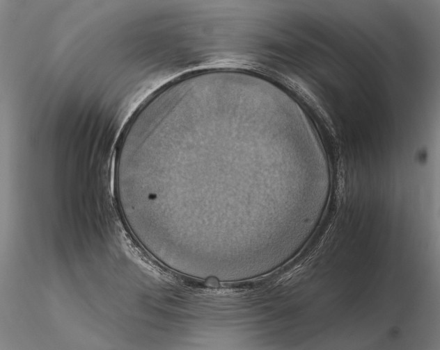 X0000115391276200912011220