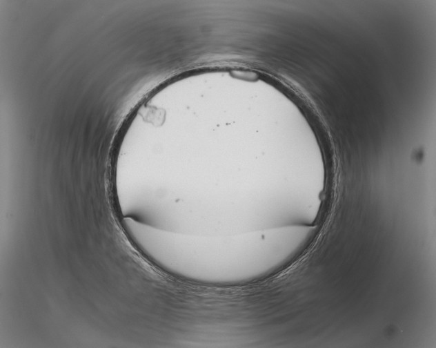 X0000115391277200912011220