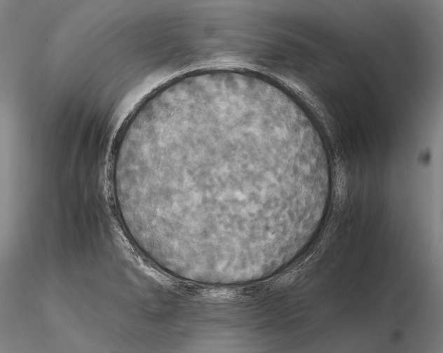 X0000115391278200912011220