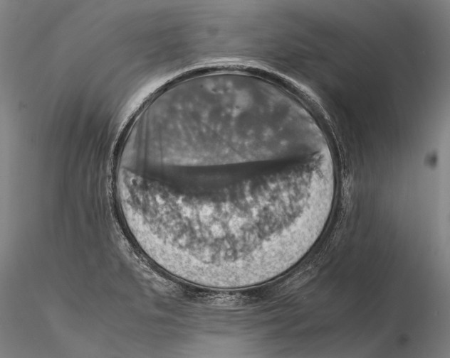 X0000115391279200912011220