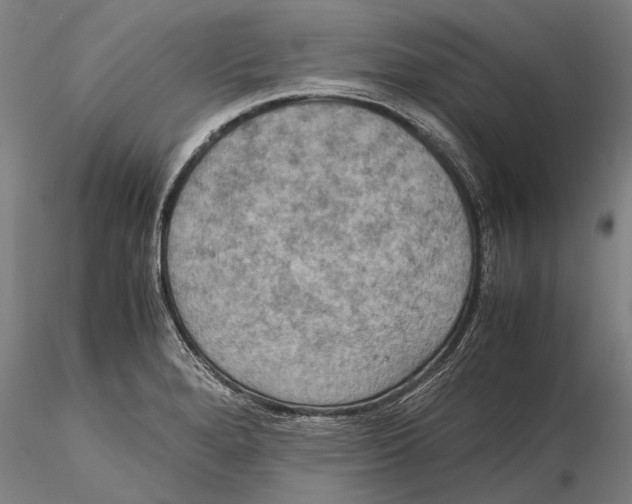 X0000115391280200912011220