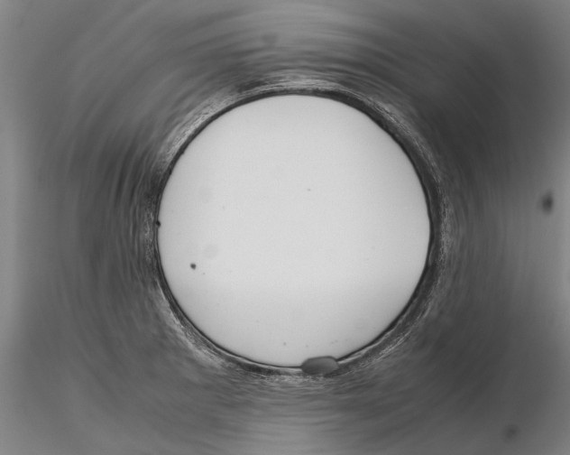 X0000115391281200912011220