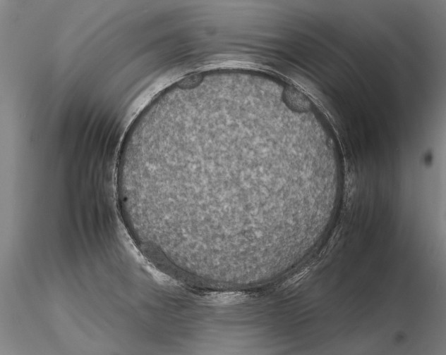 X0000115391282200912011220