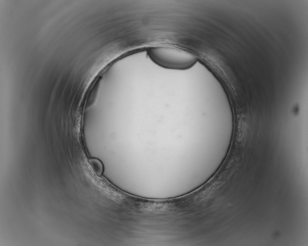 X0000115391284200912011220