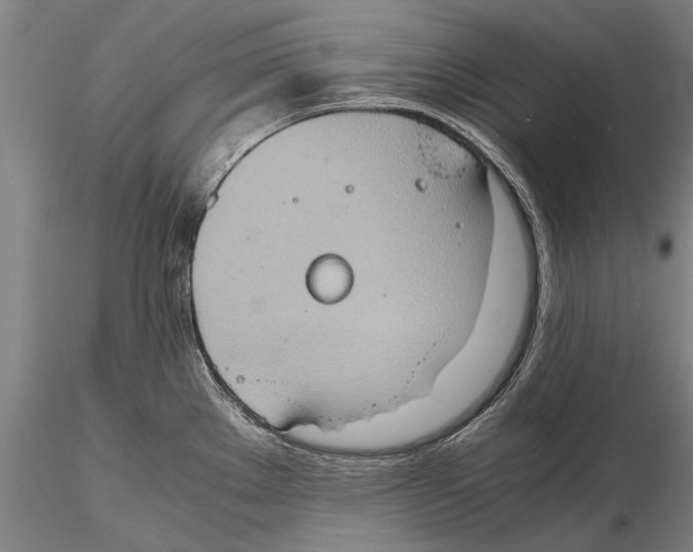 X0000115391289200912011220