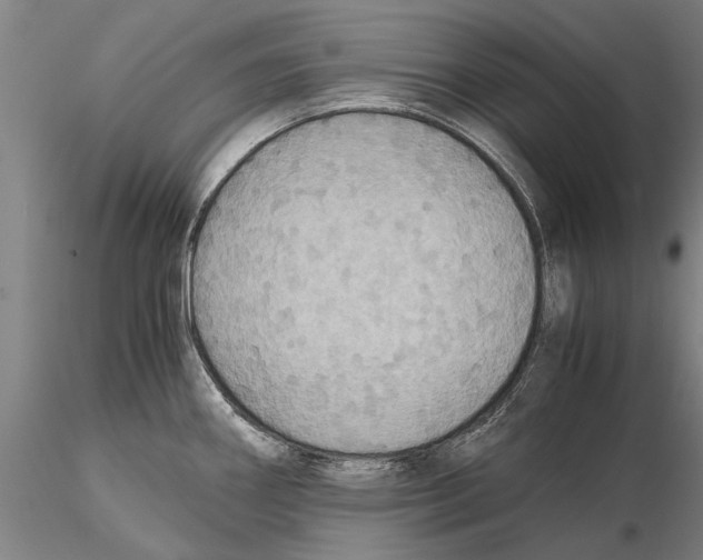 X0000115391290200912011220