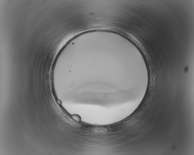 X0000115391291200912011220