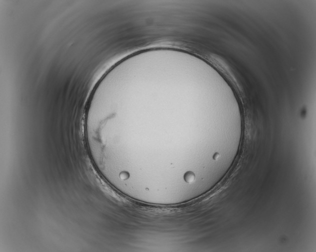 X0000115391292200912011220