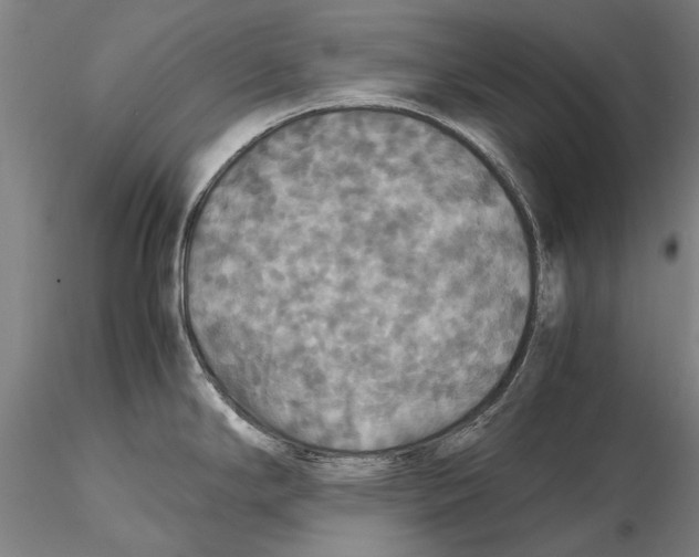 X0000115391294200912011220