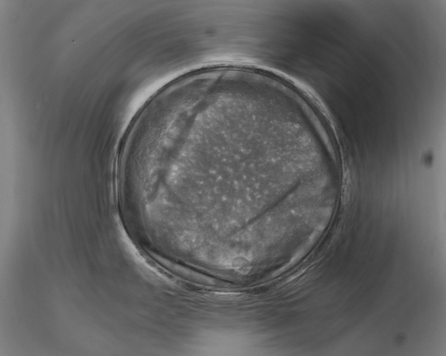 X0000115391295200912011220