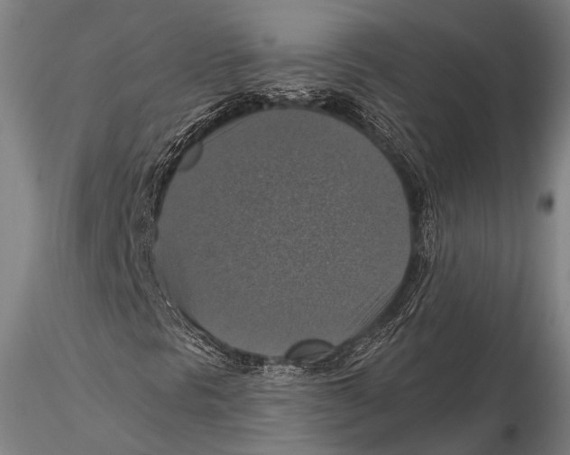 X0000115391297200912011219