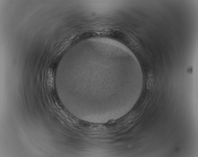 X0000115391298200912011219