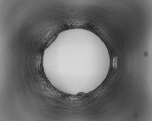 X0000115391299200912011219