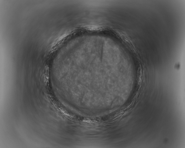 X0000115391301200912011219