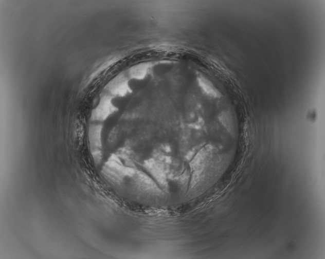 X0000115391302200912011219