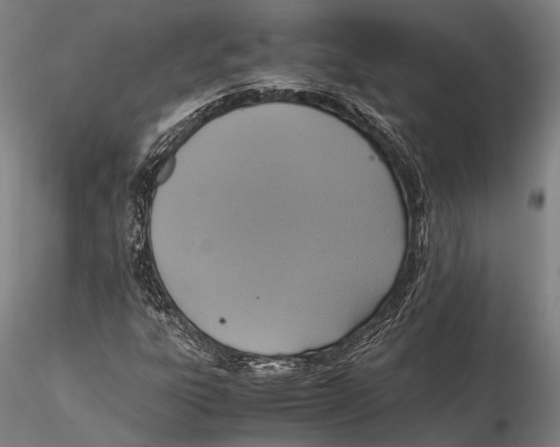 X0000115391303200912011219