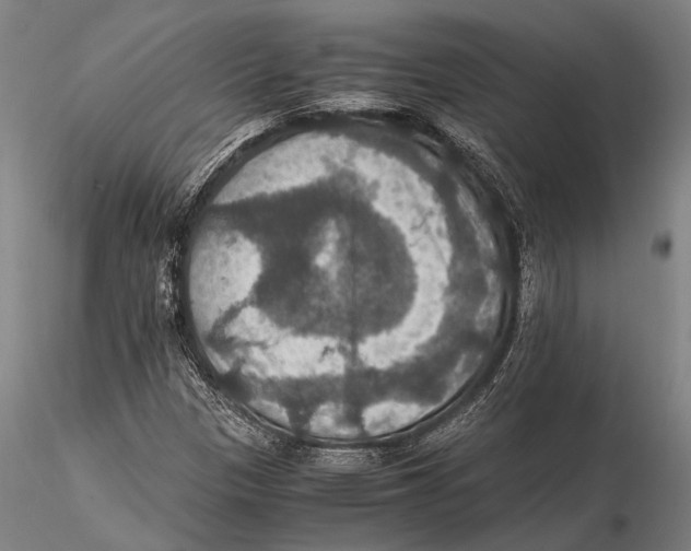 X0000115391305200912011219