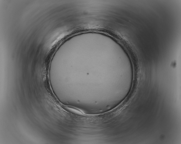 X0000115391306200912011219