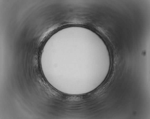 X0000115391307200912011219