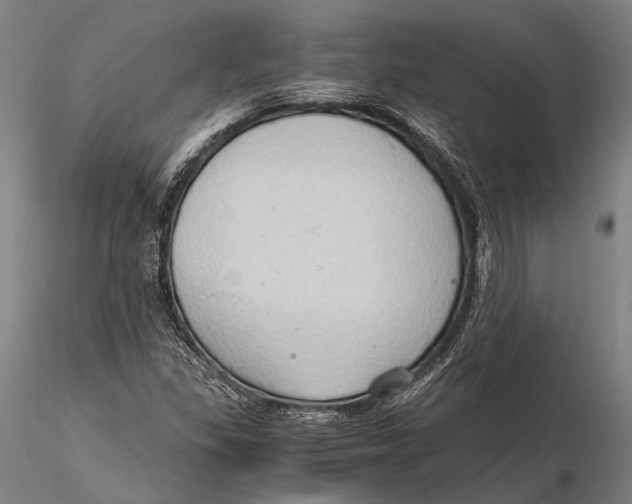 X0000115391309200912011219