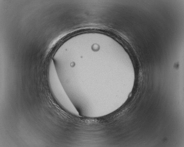 X0000115391310200912011219