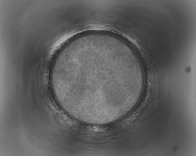 X0000115391311200912011219